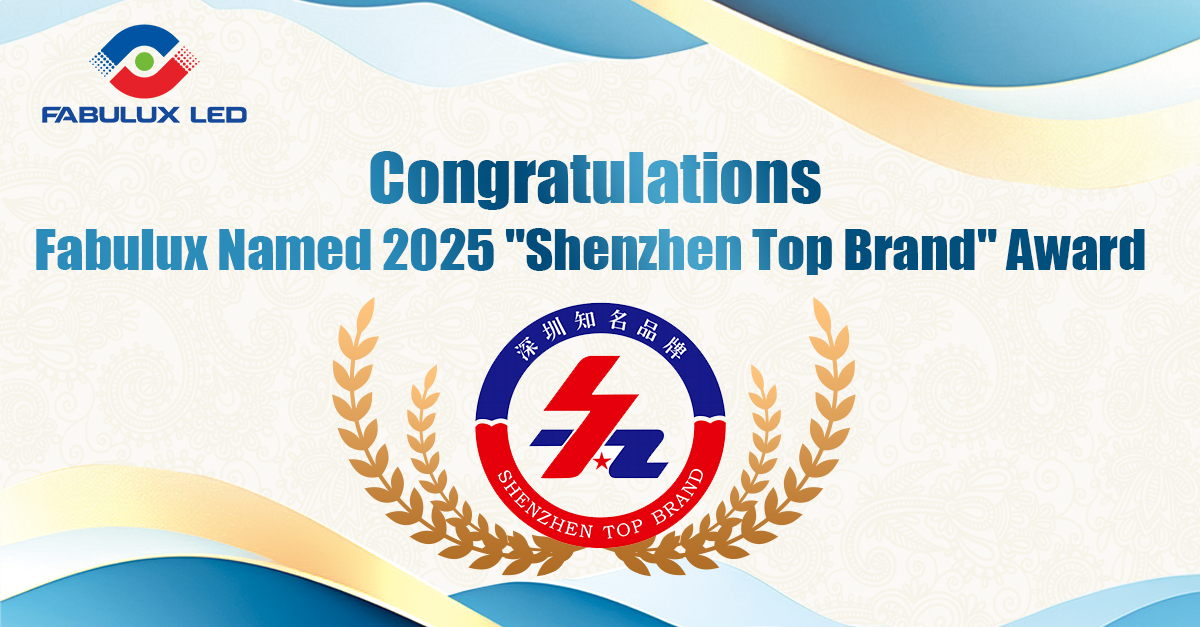 Fabulux Named 2025 Shenzhen Top Brand Award
