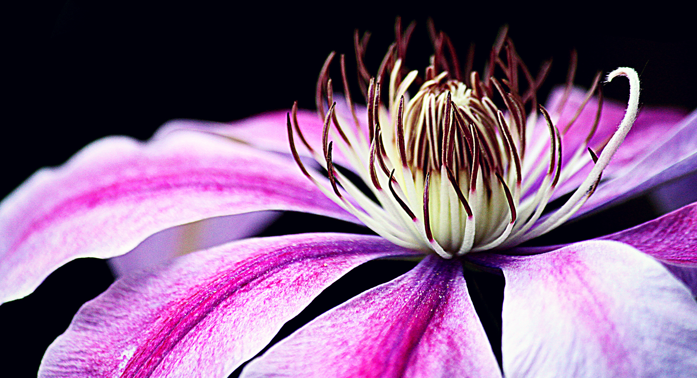 1400x760-好.webp