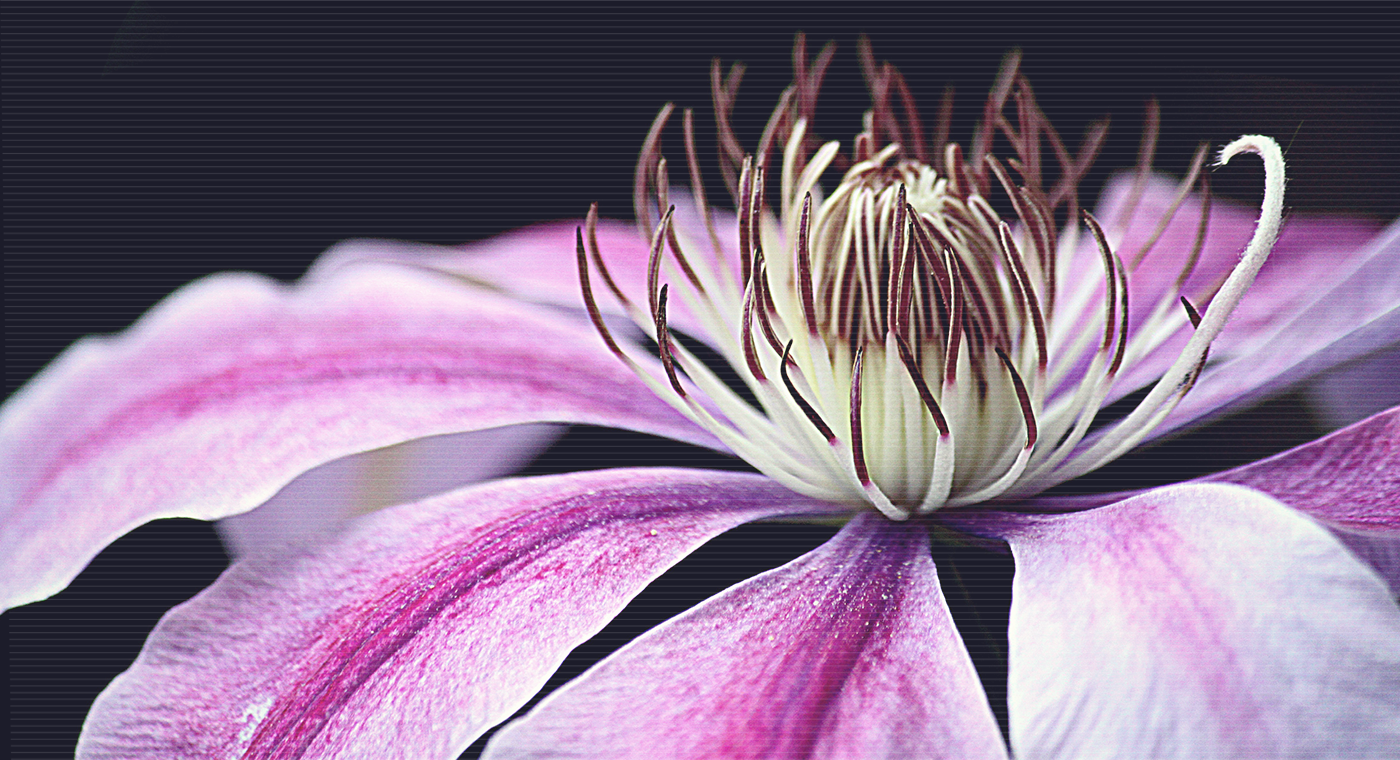 1400x760-差.webp