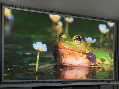 TMAX COB Private Home Theater Solution In Orlando